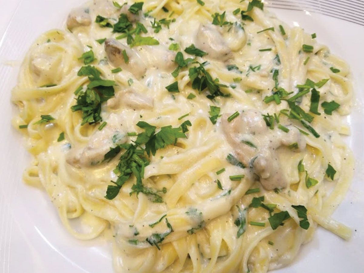Chicken Alfredo Pasta