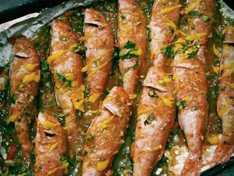 Red Mullet Fish