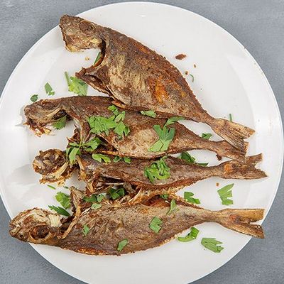 Red Mullet