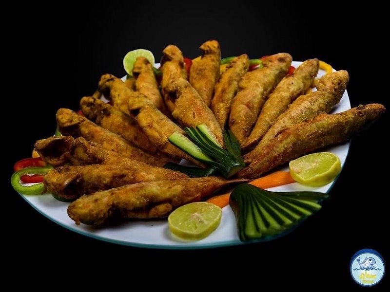 Red Mullet Fish
