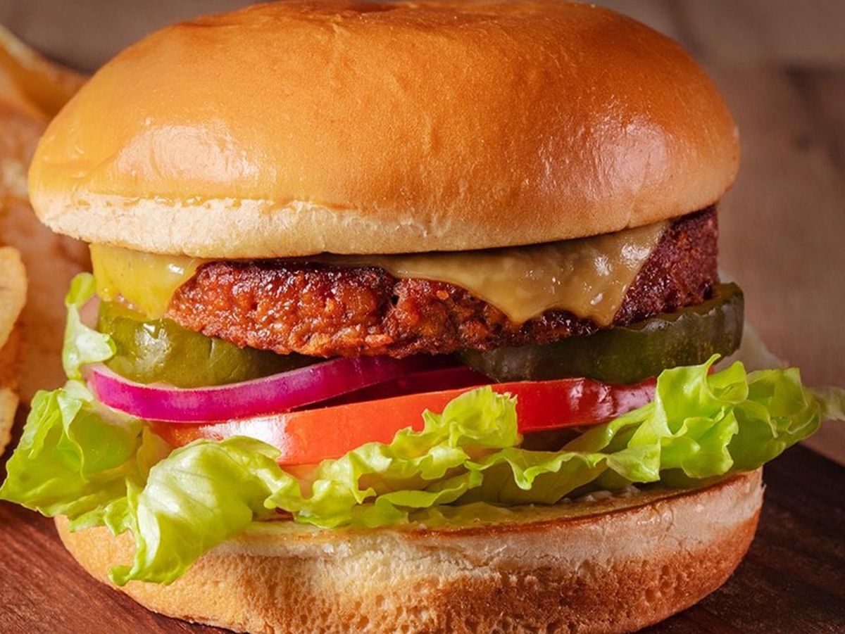 Burger Sandwich