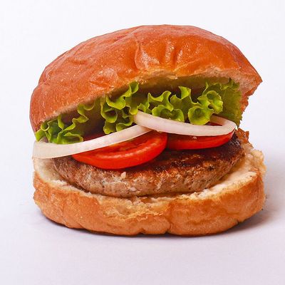 Burger Sandwich