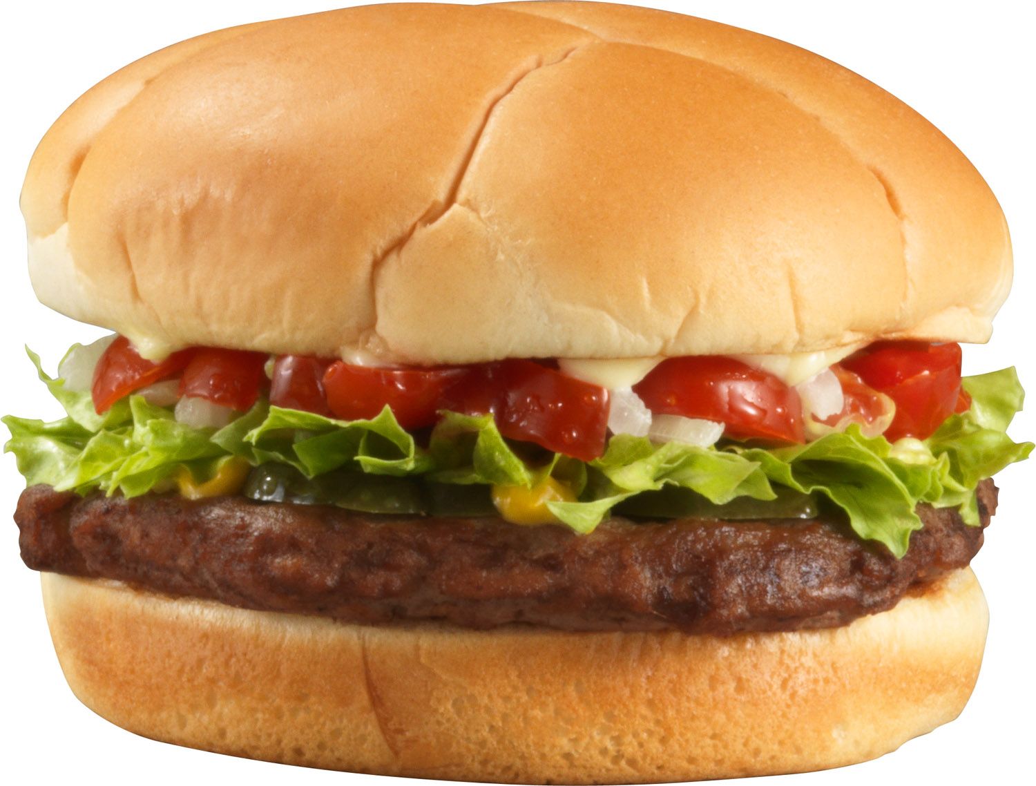 Beef Burger Sandwich