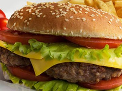 Regular Burger Sandwich