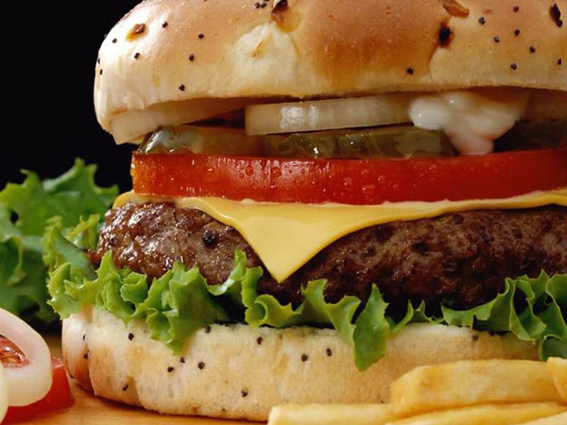 Asteria Burger Sandwich