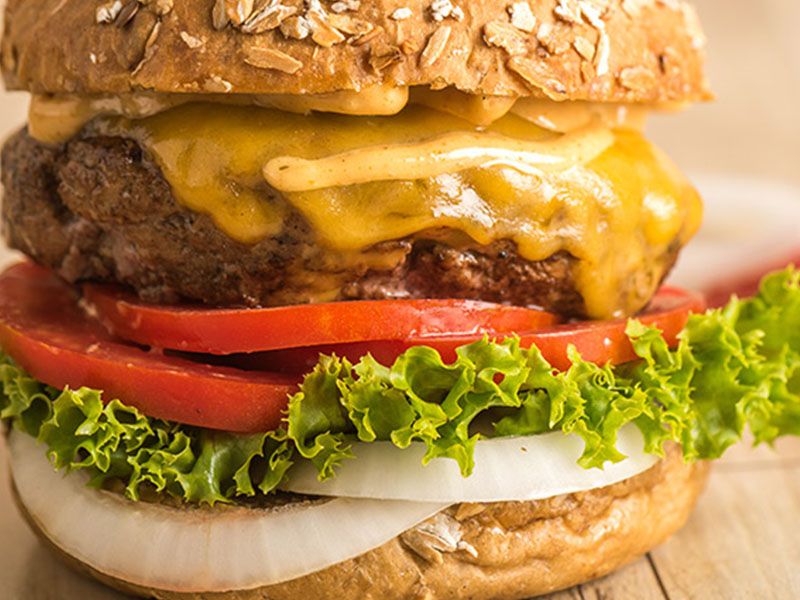 Burgaya Burger Sandwich