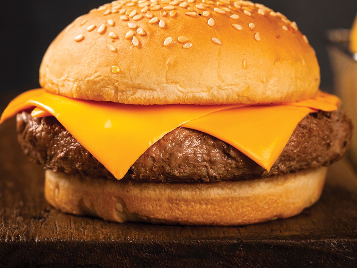Cheese Burger Sandwich