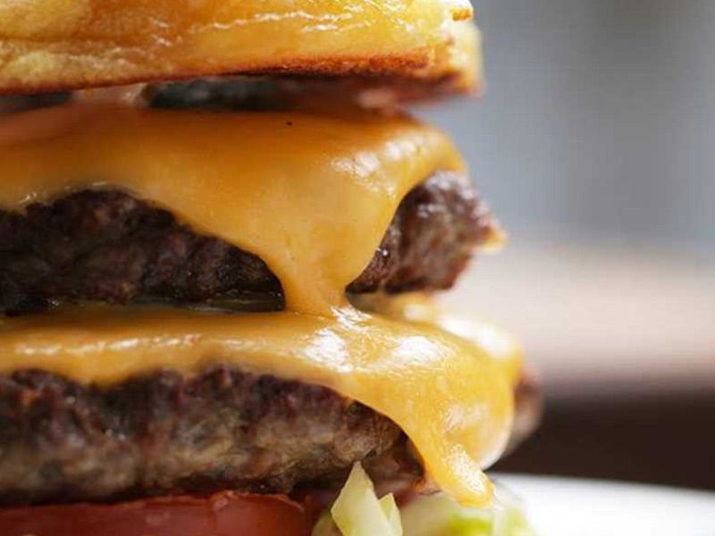 Burger With Cheese Sandwich