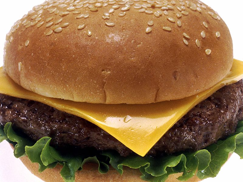 Burger With Cheese Sandwich