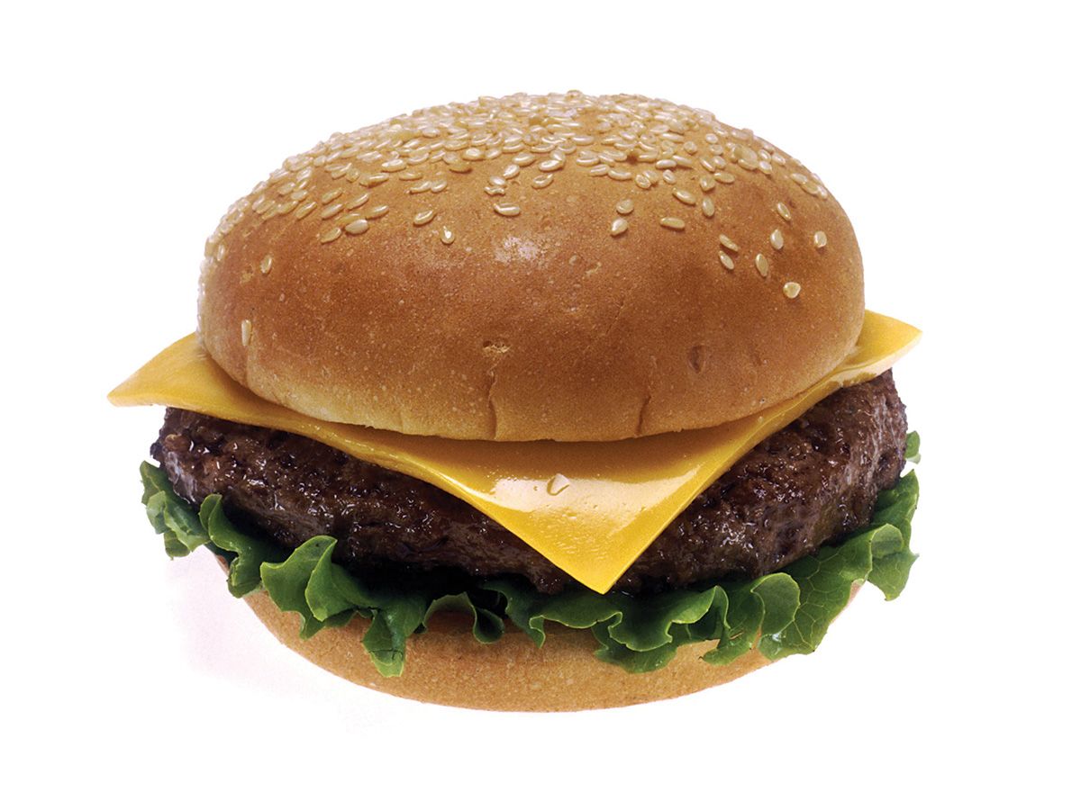 Cheese burger sandwich