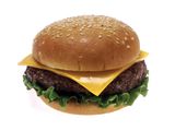 Cheese burger sandwich