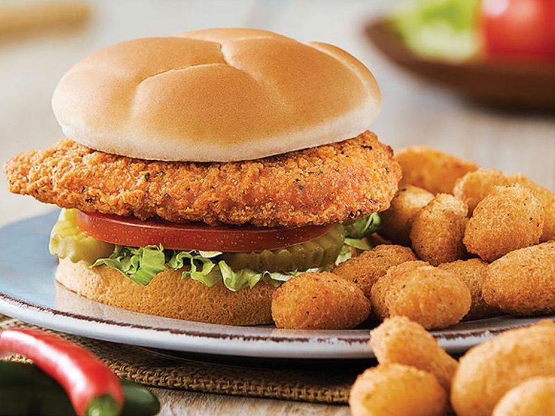 Zinger Chicken Burger Sandwich