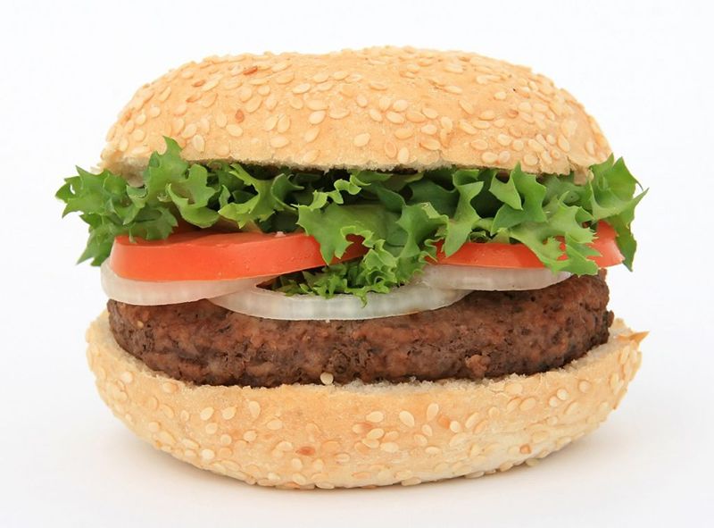 Plain Beef Burger Sandwich