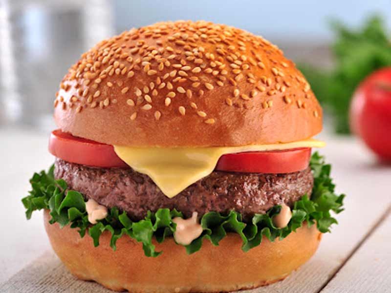Plain Burger Sandwich