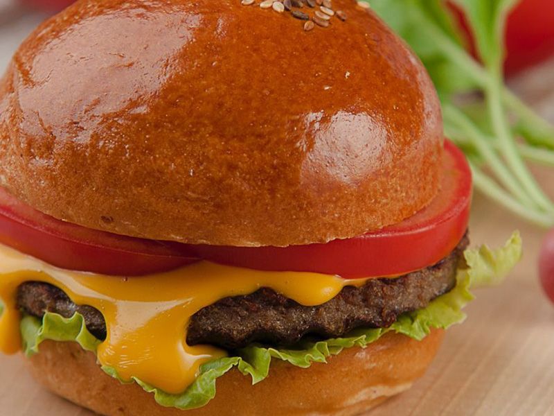 Plain Burger Sandwich