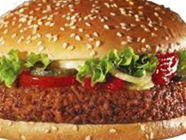 Plain burger sandwich