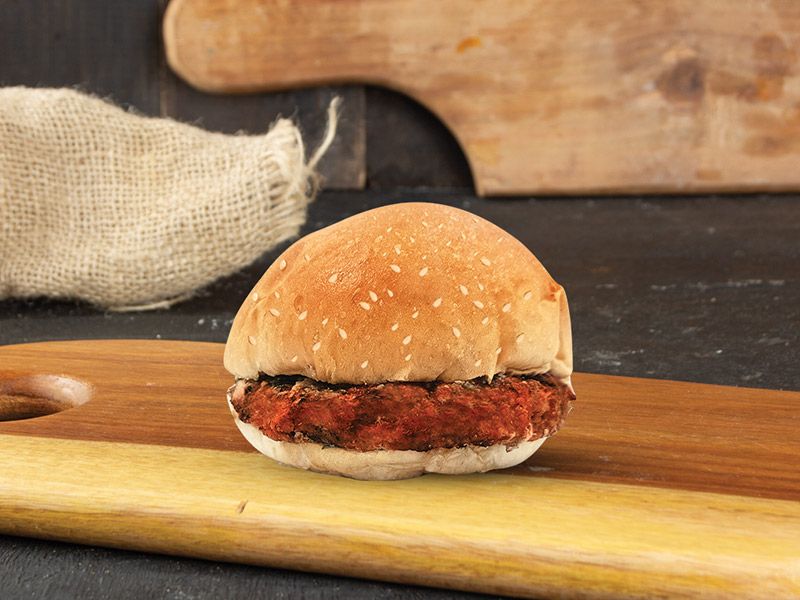Chicken Burger Sandwich