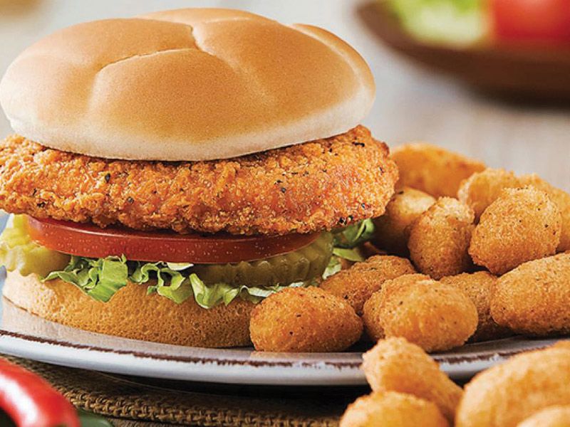 Crispy Chicken Burger Sandwich