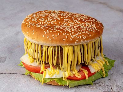 Chicken Fillet Burger Sandwich