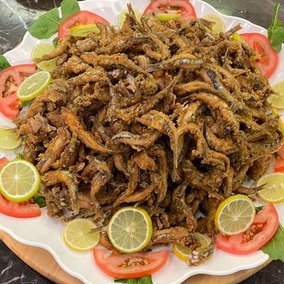 سمك سردين