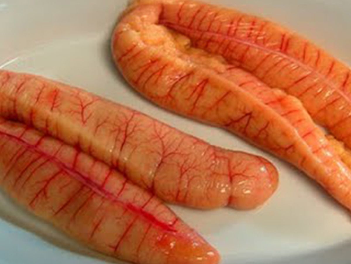 ِA Kilo Of Roe