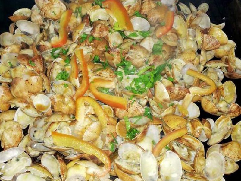 Large Shell Fish Meal