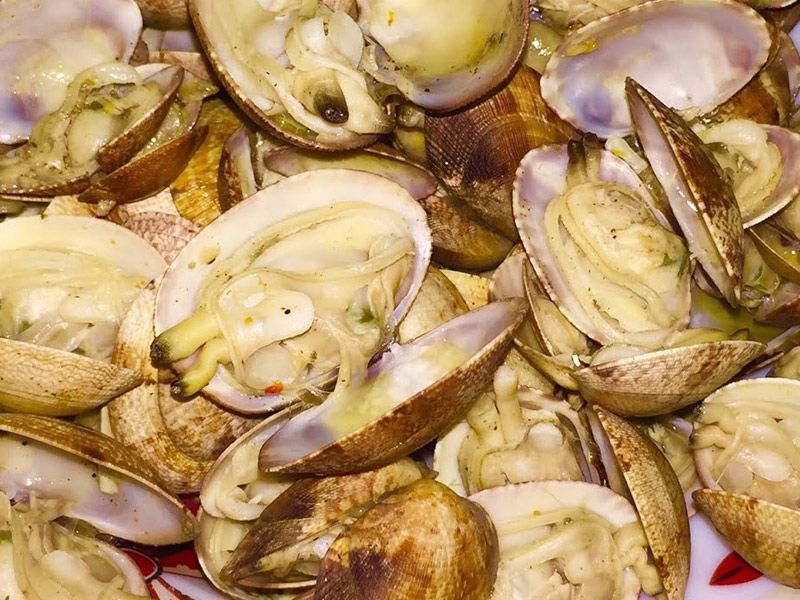 Kilo Shellfish