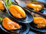 Mussels