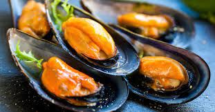 Mussels