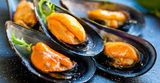 Mussels