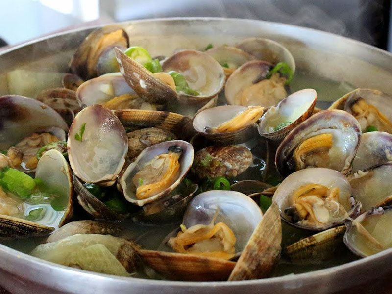 Mussels