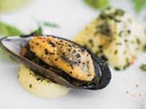 Mussels