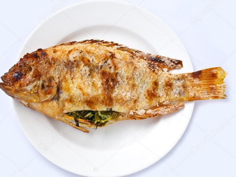 Tilapia Fish meal