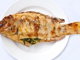 Tilapia Fish