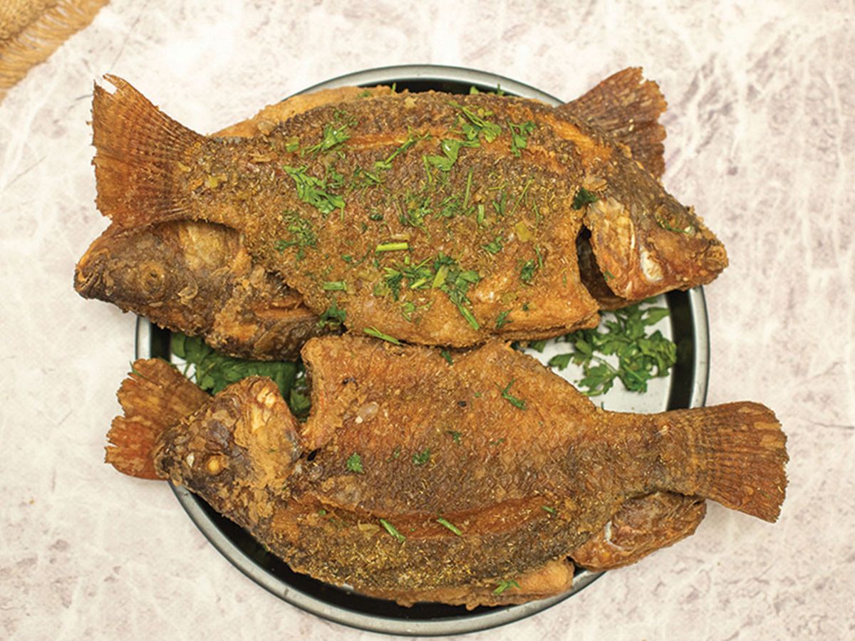 Tilapia Fish