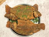 Tilapia Fish