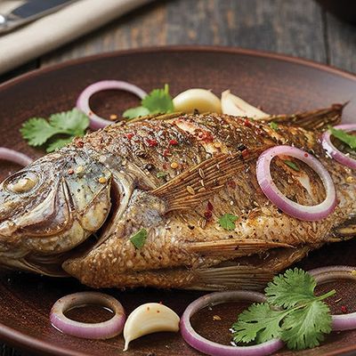 Tilapia