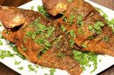 Tilapia Fish
