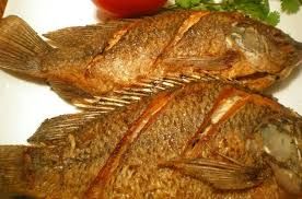 Tilapia Fish Meal