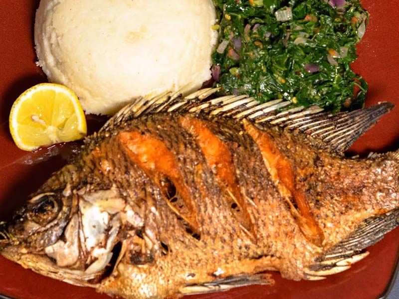 Tilapia Fish