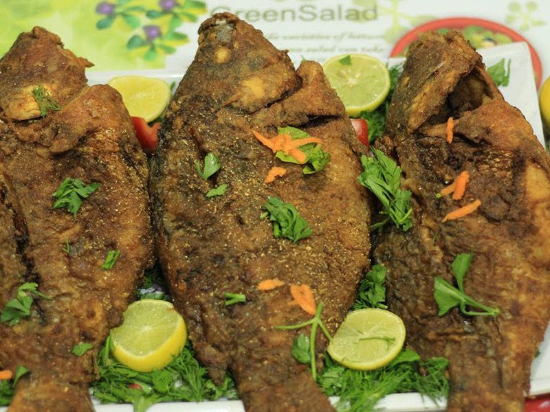 Tilapia Fish
