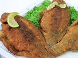 Tilapia Fish Meal