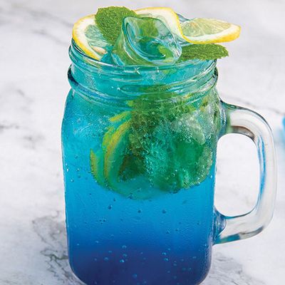 Blueberry Mohito