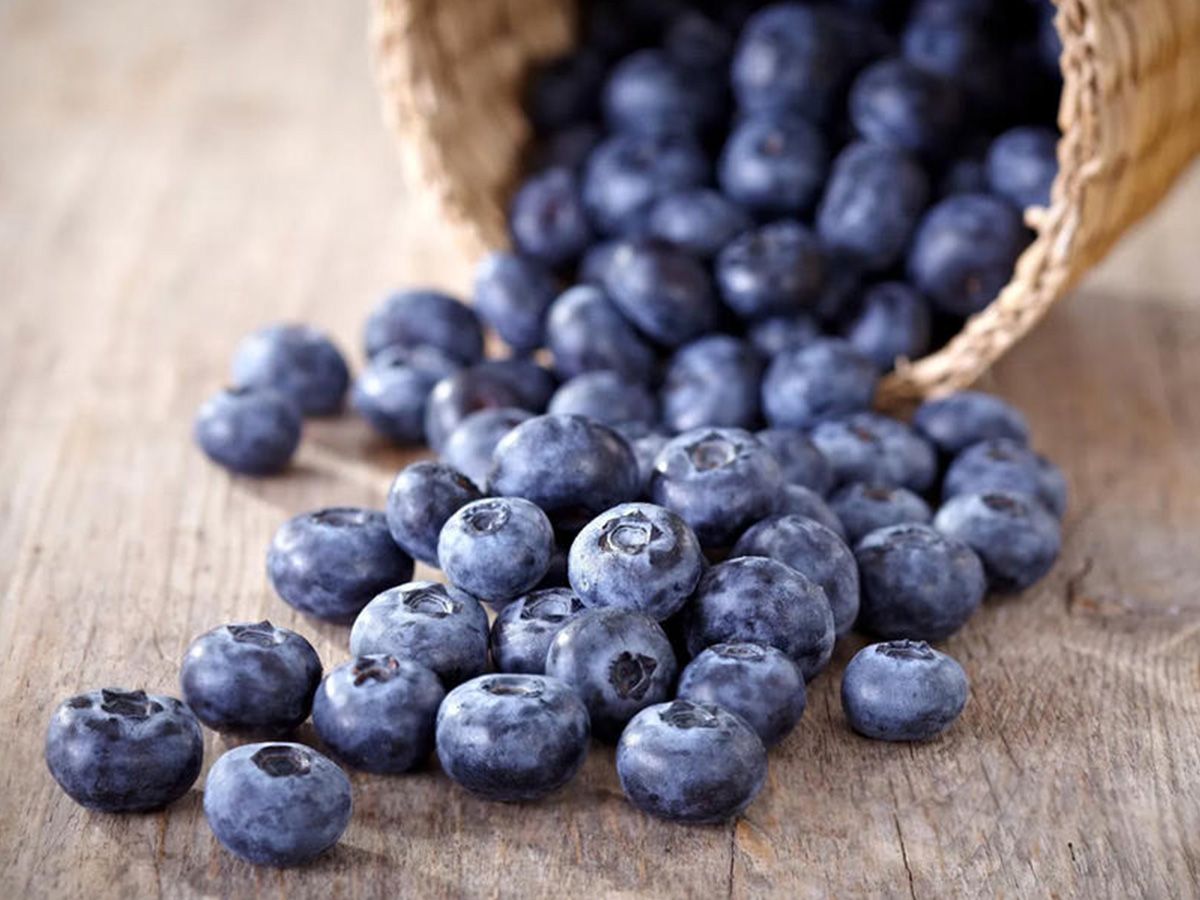 Blueberry