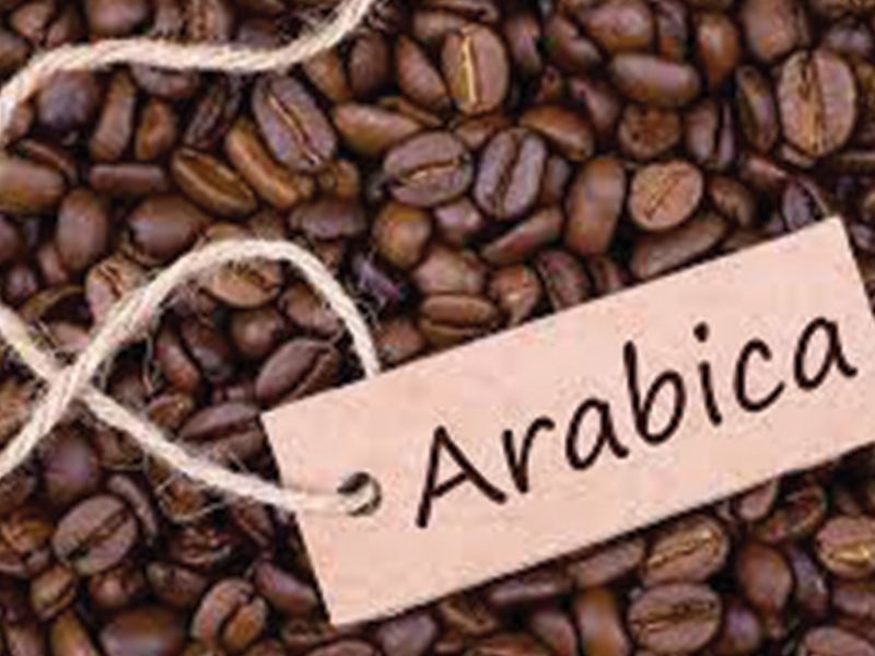 Arabica Coffee 1/8 Kilo
