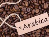 Arabica Coffee 1/8 Kilo