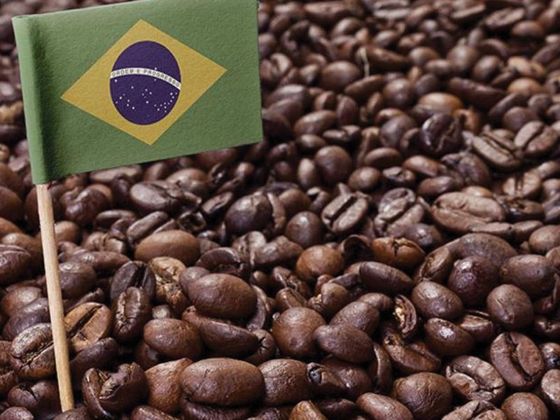 Brazilian Coffee 1/8 Kilo