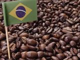 Brazilian Coffee 1/8 Kilo