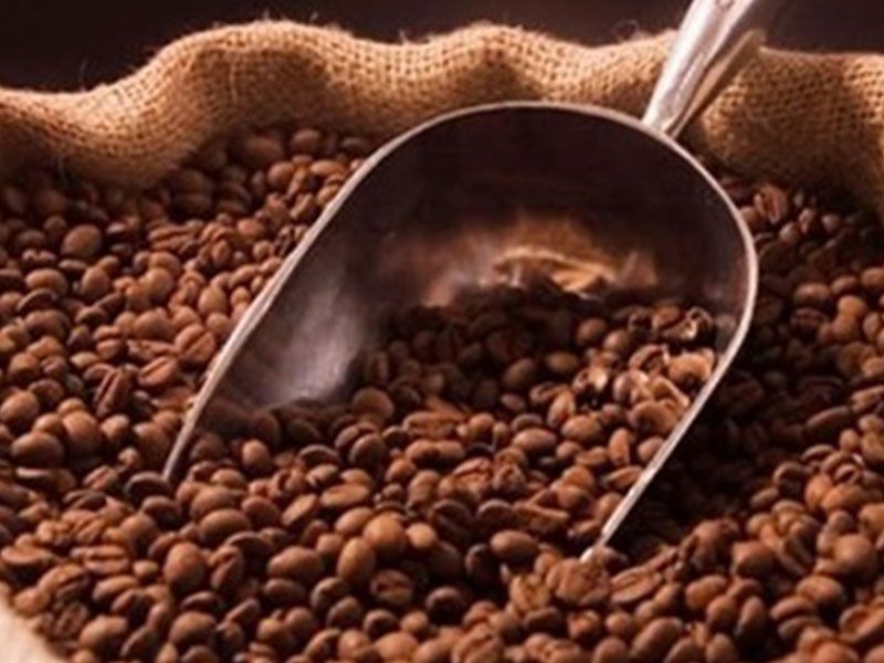 Plain Roast Coffee