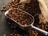 Regular Coffee 1/8 Kilo